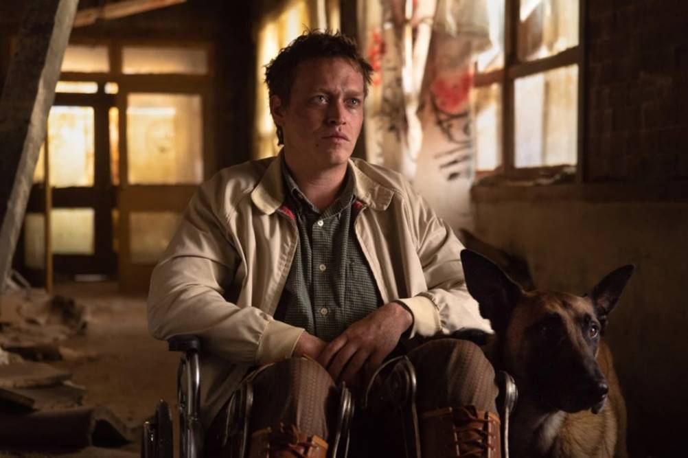 Assista Dogman online no YouCine