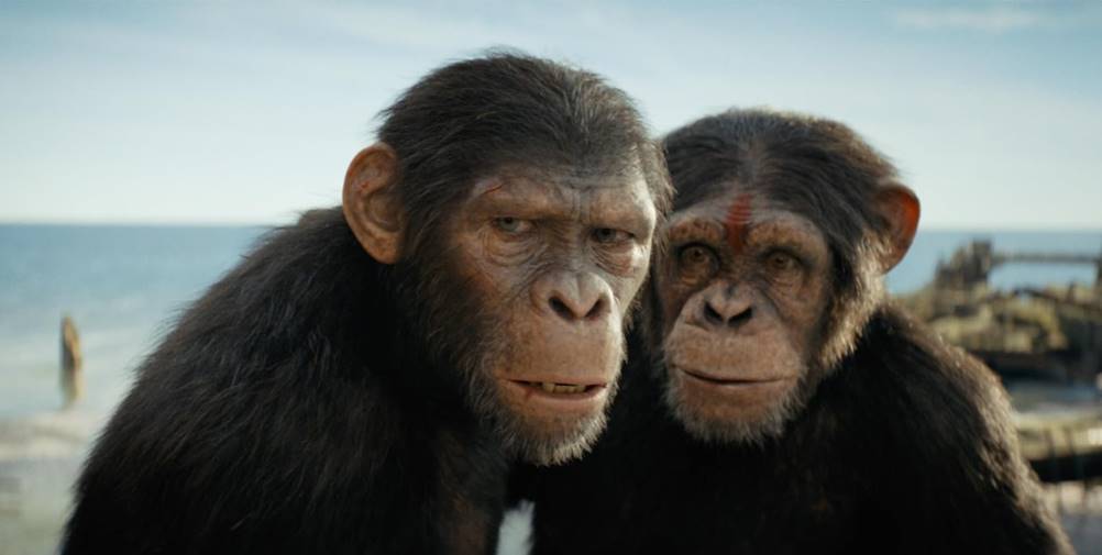 Assista Planeta dos Macacos O Reinado online no YouCine